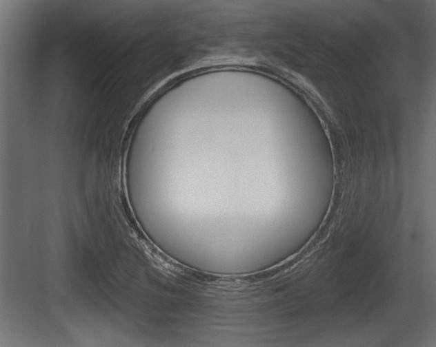 X0000083611220200702120715