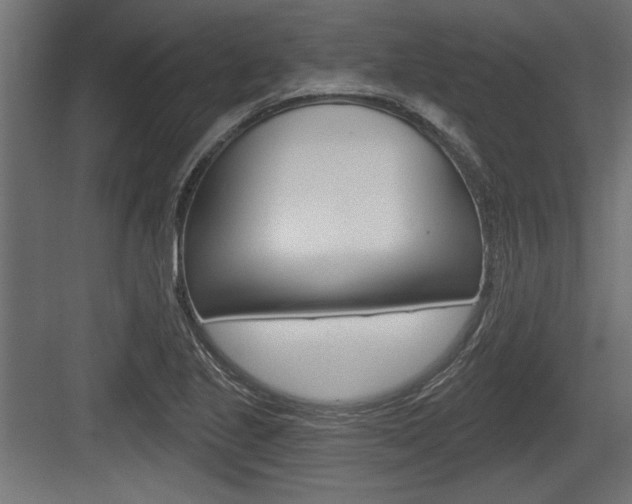 X0000083611221200702120715