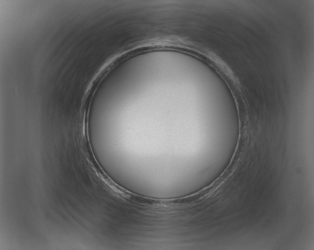 X0000083611224200702120715