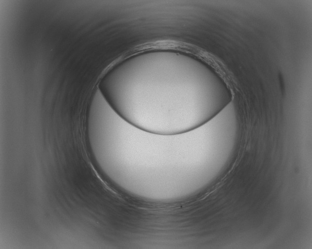 X0000083611225200702120715