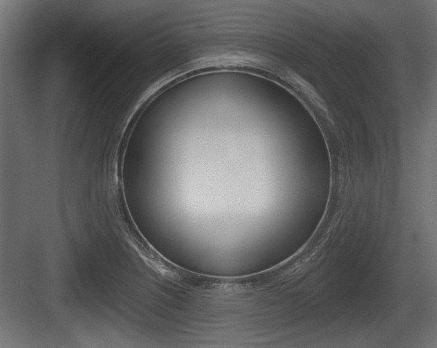 X0000083611226200702120715