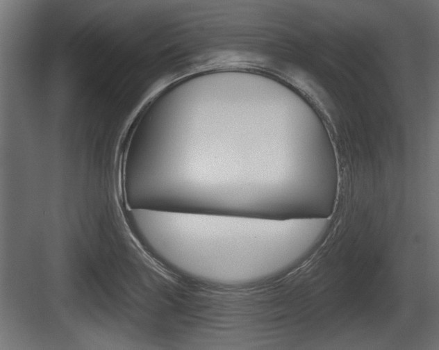 X0000083611227200702120715