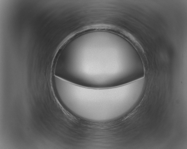 X0000083611229200702120715