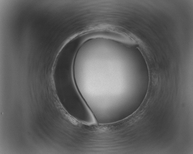 X0000083611230200702120715
