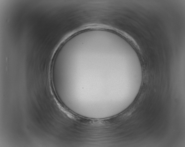 X0000083611231200702120715