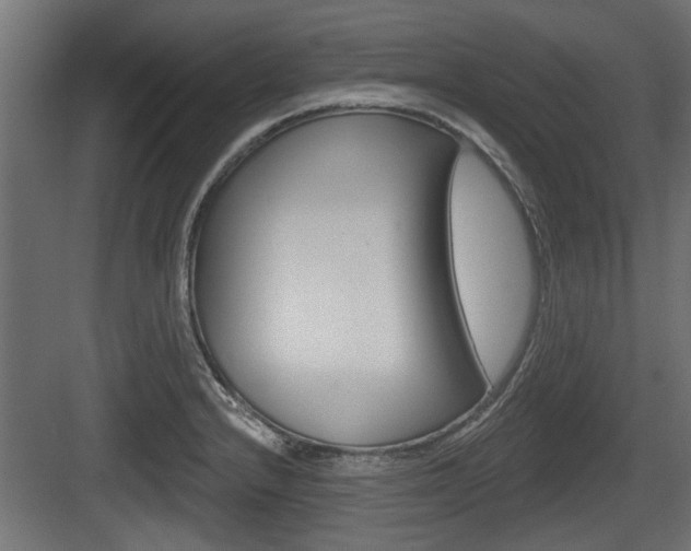 X0000083611232200702120715