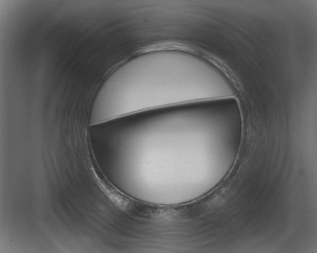 X0000083611233200702120715