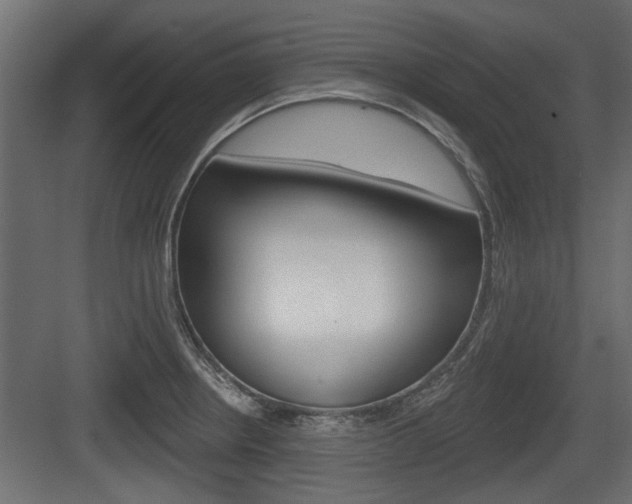 X0000083611234200702120715