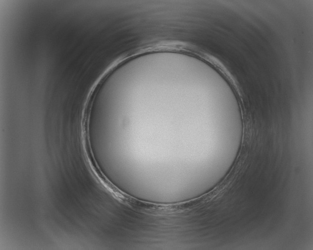 X0000083611235200702120715