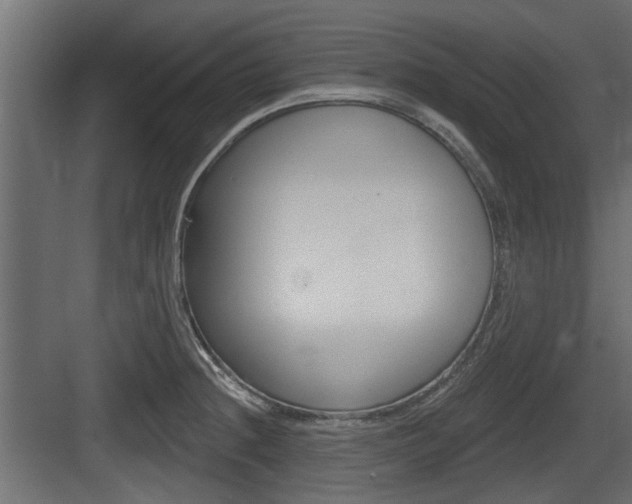 X0000083611236200702120715