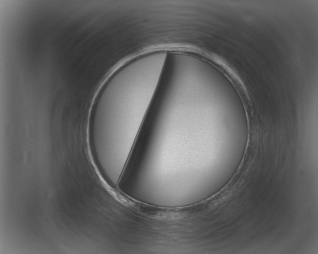 X0000083611237200702120715