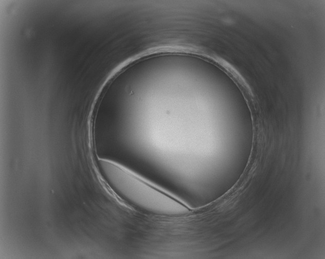 X0000083611238200702120715