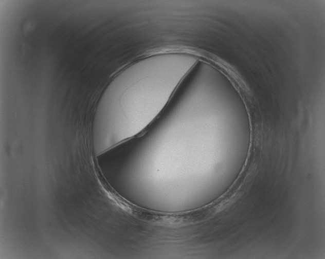X0000083611241200702120715