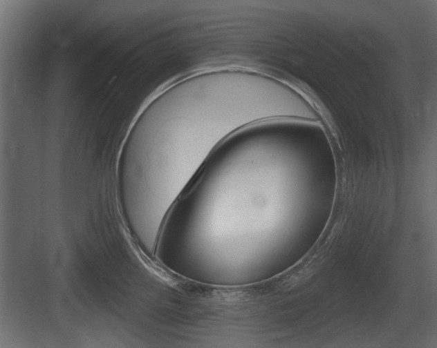 X0000083611242200702120715