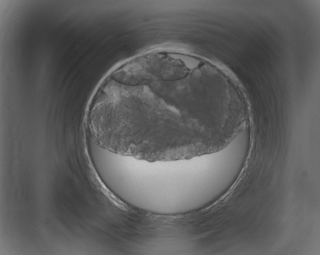 X0000083611248200702120715