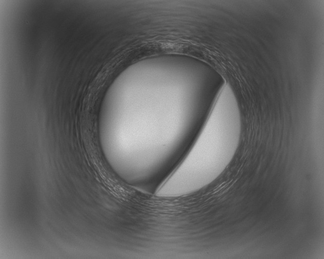 X0000083611249200702120715