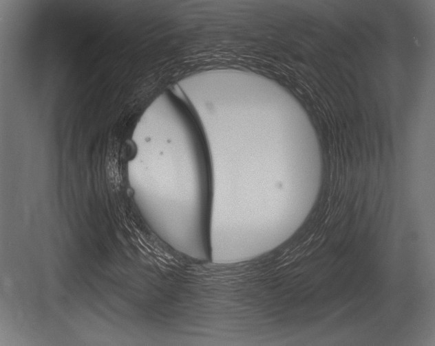 X0000083611250200702120715