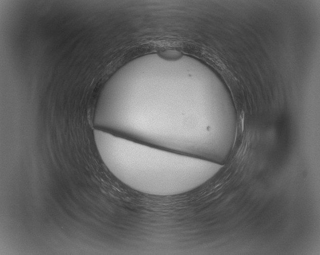 X0000083611251200702120715