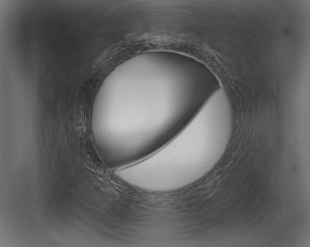 X0000083611253200702120714