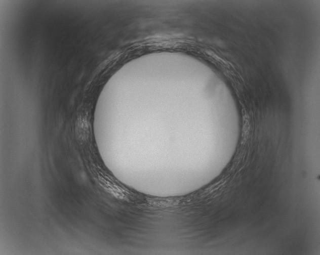 X0000083611254200702120714