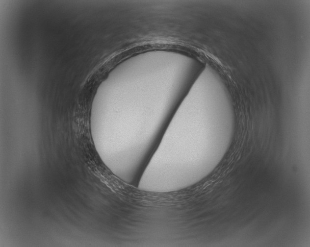 X0000083611255200702120714
