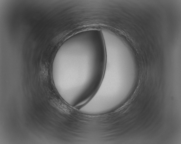 X0000083611257200702120714