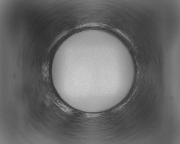 X0000083611258200702120714