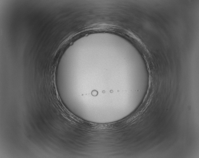 X0000083611259200702120714