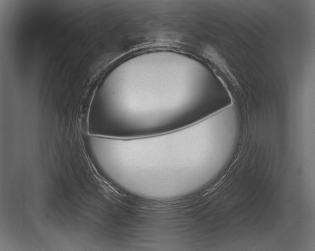 X0000083611260200702120714