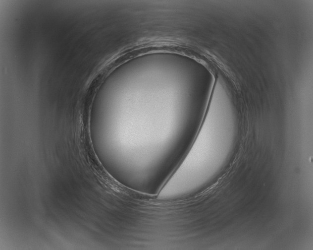 X0000083611261200702120714