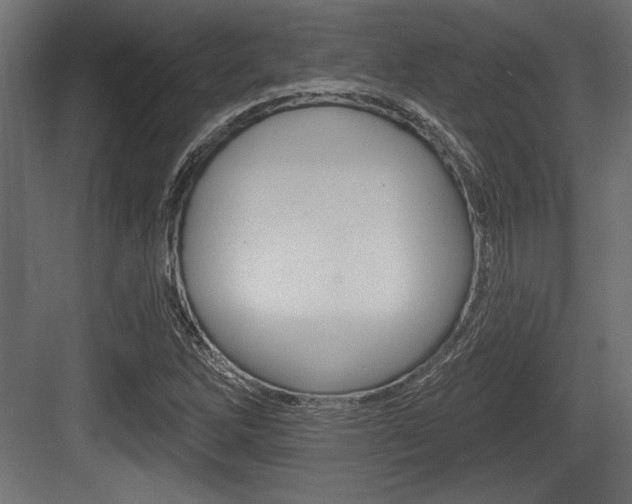 X0000083611262200702120714