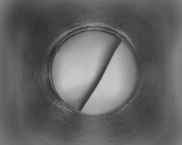X0000083611263200702120714