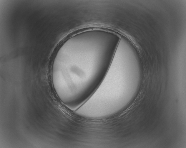 X0000083611264200702120714