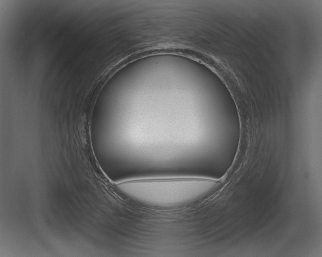 X0000083611265200702120714