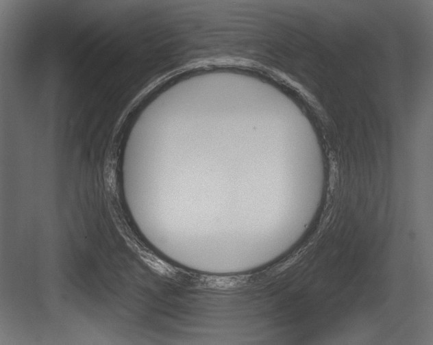 X0000083611266200702120714
