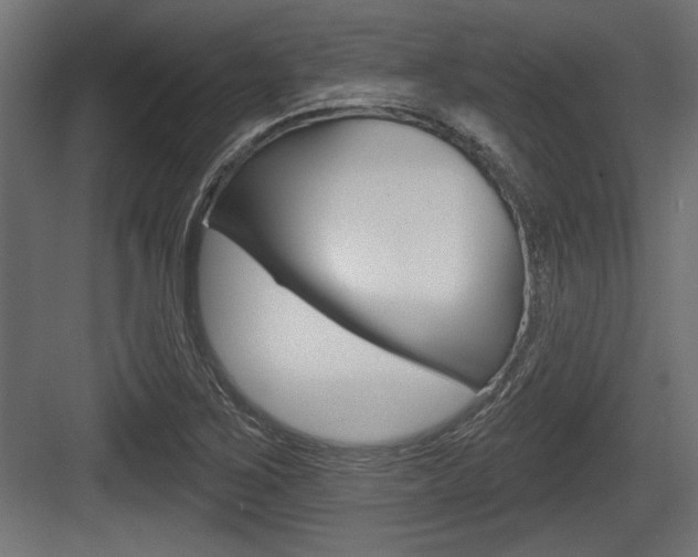 X0000083611267200702120714