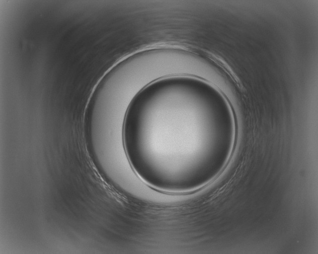 X0000083611268200702120714