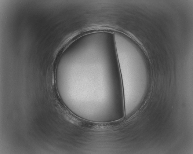 X0000083611269200702120714