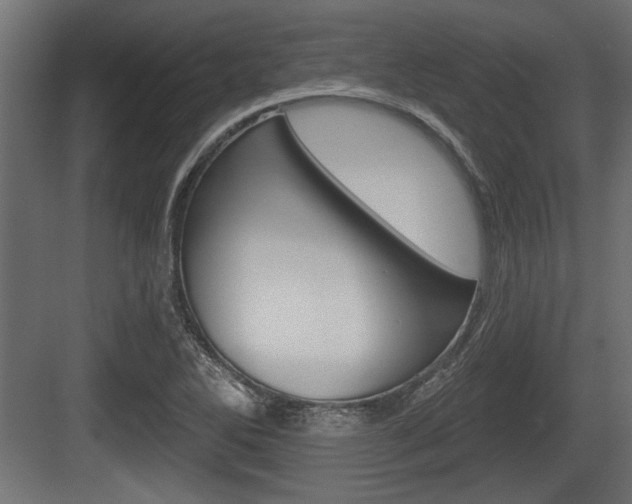 X0000083611270200702120714