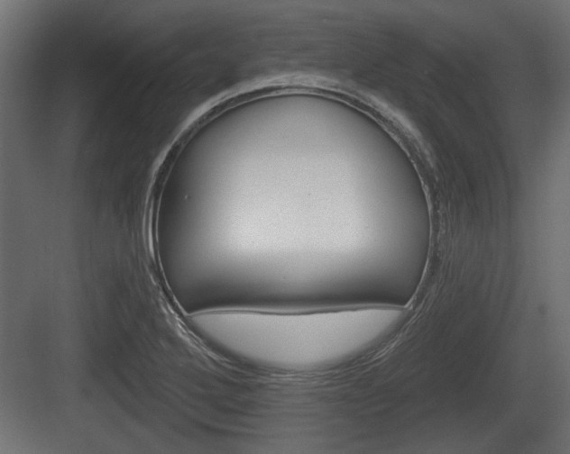 X0000083611272200702120714