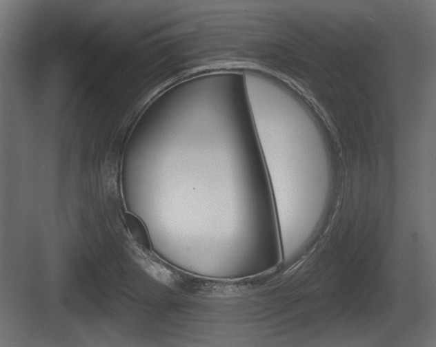 X0000083611273200702120714