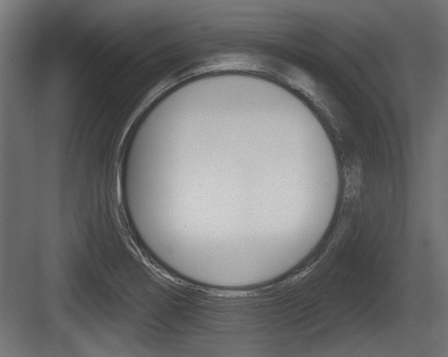X0000083611274200702120714