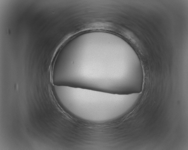 X0000083611275200702120714