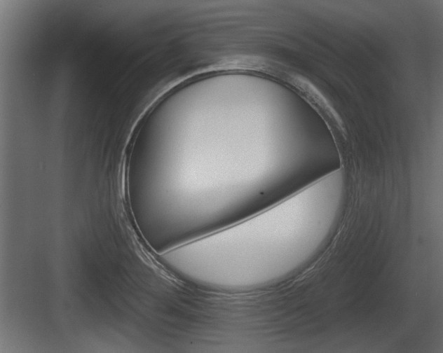 X0000083611276200702120714