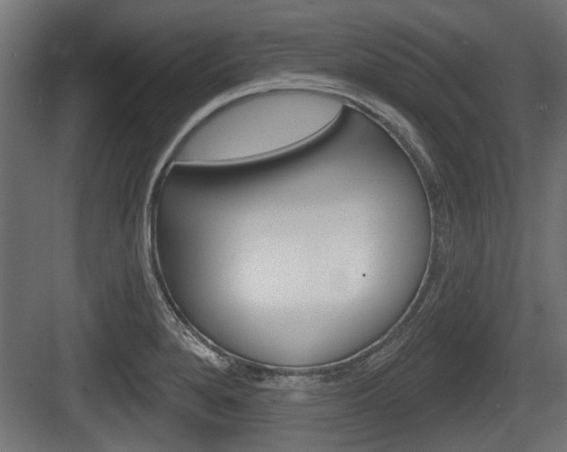 X0000083611280200702120714