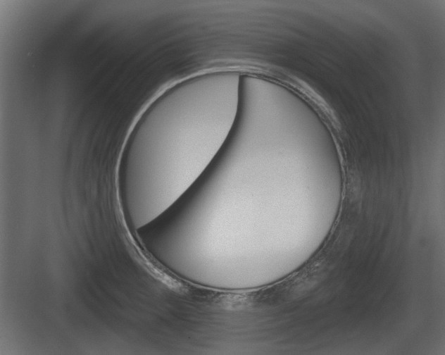 X0000083611283200702120714