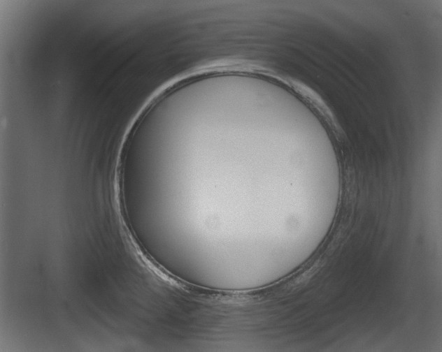 X0000083611288200702120714
