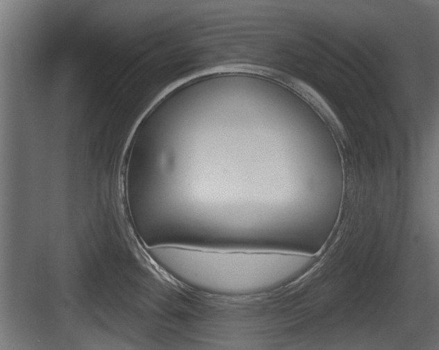 X0000083611292200702120714