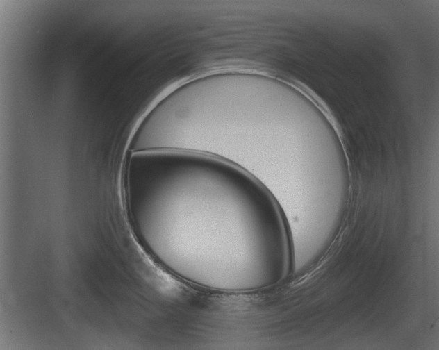 X0000083611293200702120714