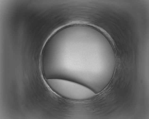 X0000083611295200702120714